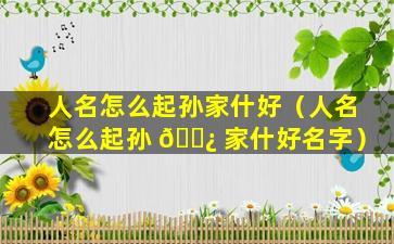 人名怎么起孙家什好（人名怎么起孙 🌿 家什好名字）